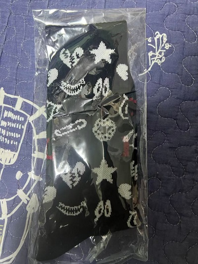 LISA 襪 2025年武道館goods