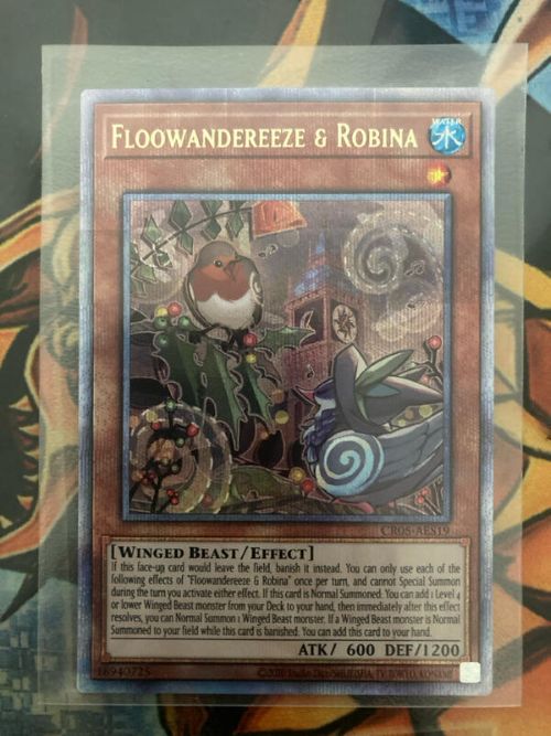 CR05-AES19 FLOOWANDEREEZE & ROBINA 蓬鬆奇風鳥X知更 